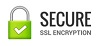 SSL uses a cryptographic system for encryption of data.